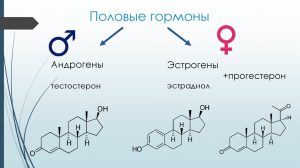 Кальцитриол