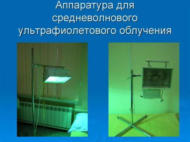 Абиотические факторы: температура и освещенность