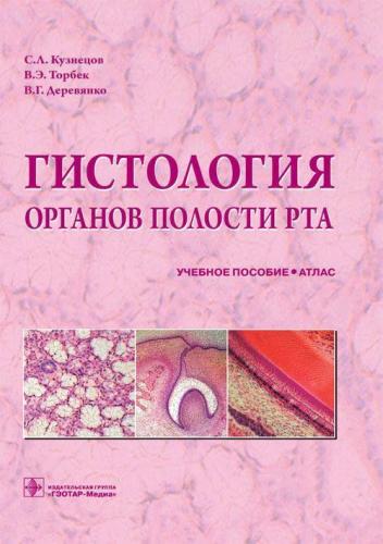 Все, что нужно знать о бактериях полости рта
