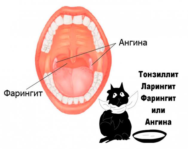 Лучшие качества водного экстракта прополиса
