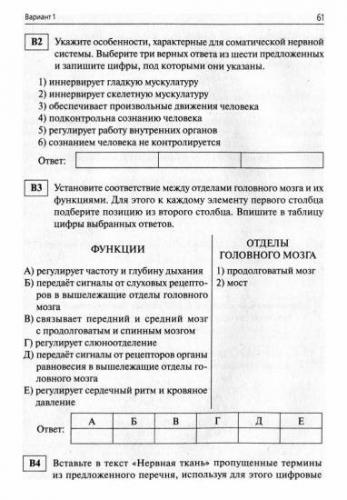 Презентация на тему: "нервная система. нервная система играет важную роль в регуляции функций организма. она обеспечивает согласованную работу клеток, тканей, органов и их.". скачать бесплатно и без регистрации.