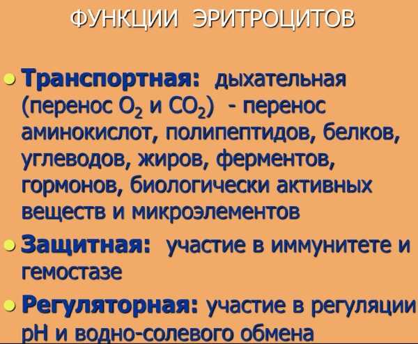 Скорость оседания эритроцитов (соэ) в онкологии: причины повышения, индивидуальная норма