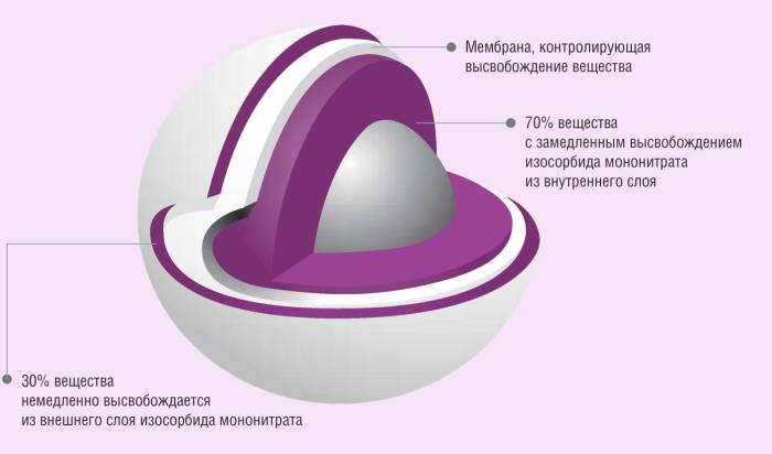 Фенибут – инструкция по применению, аналоги, отзывы, цена