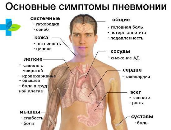 Пневмония или туберкулёз?