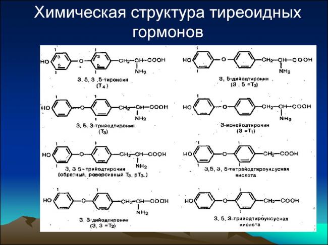 Т3 свободный