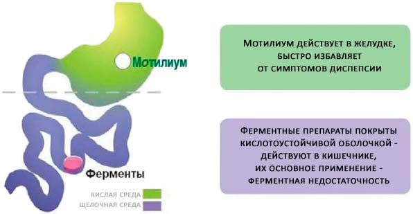 Домперидон: инструкция по применению и для чего он нужен, цена, отзывы, аналоги