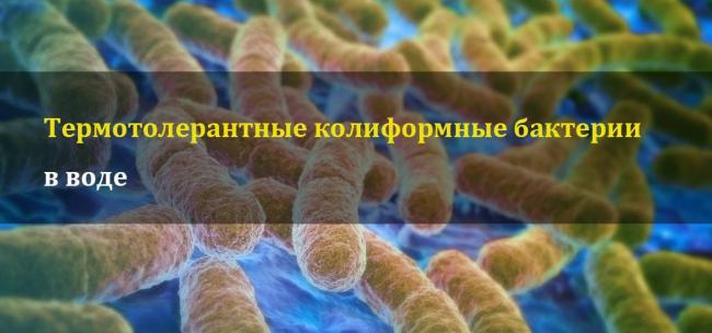 Как определить качество питьевой воды с помощью колиформных (колиморфных) бактерий