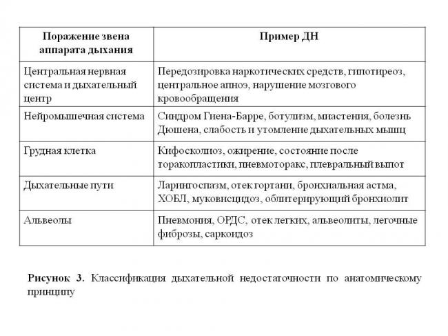 Можно ли умереть от астмы и как избежать летального исхода
