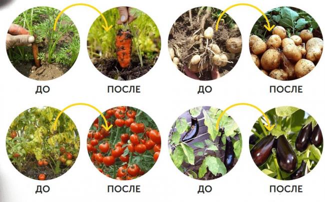 Биоудобрение гардемакс