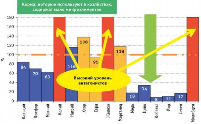 Желудочные бактерии: прогнать нельзя оставить?