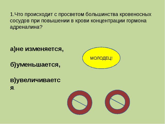 Кровеносная система