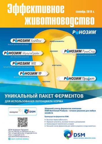 Сколько бактерий в кишечнике человека