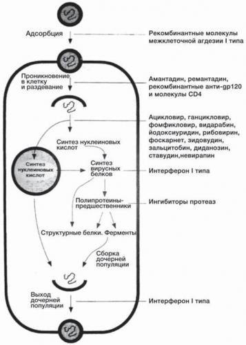 Что нужно знать про вирусные кишечные инфекции?