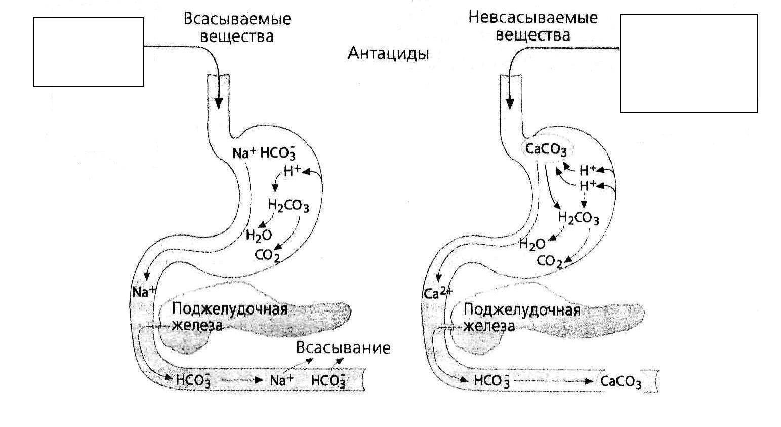 Фосфалюгель Phosphalugel - инструкция по применению