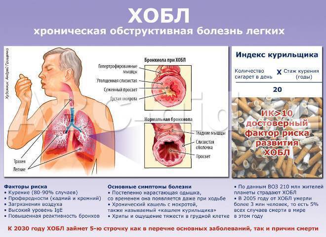 К чему приводит это страшное заболевание? патогенез и этиология хобл