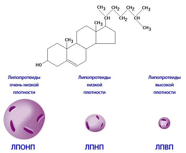 Мексидол таблетки — официальная инструкция по применению