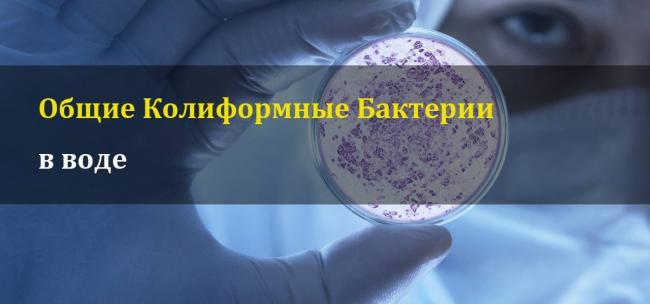 Фекальные колиформных - fecal coliform - qwe.wiki