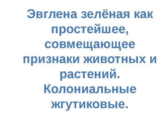 У истоков фотосинтеза: особенности фотосинтезирующих бактерий