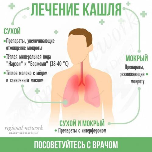 Особенности мокроты при разных видах бронхита и методы улучшения ее отведения