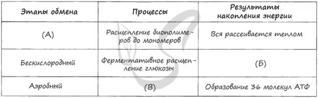 Сайт учителей биологии мбоу лицей № 2 города воронежа - обмен веществ