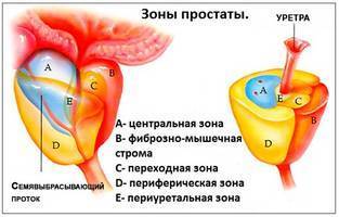 Профлосин инструкция по применению