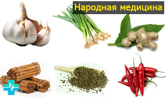 Очищение организма от паразитов – средства и препараты