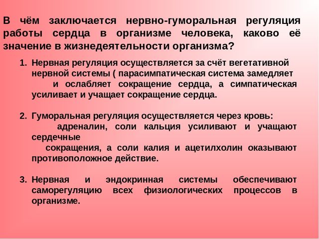 Вена - vein - qwe.wiki