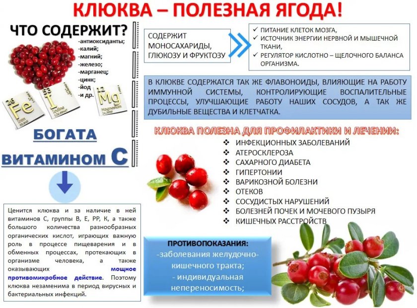 Народный рецепты лечения насморка луком