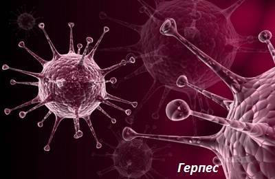 Инкубационный период пневмонии: сколько дней, заразно ли воспаление легких