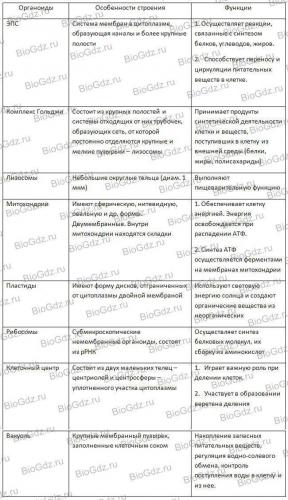 Организмы, клетки которых не имеют оформленного ядра, митохондрий, аппарата гольджи относятся к группе: а) прокариот б) эукариот, алгебра