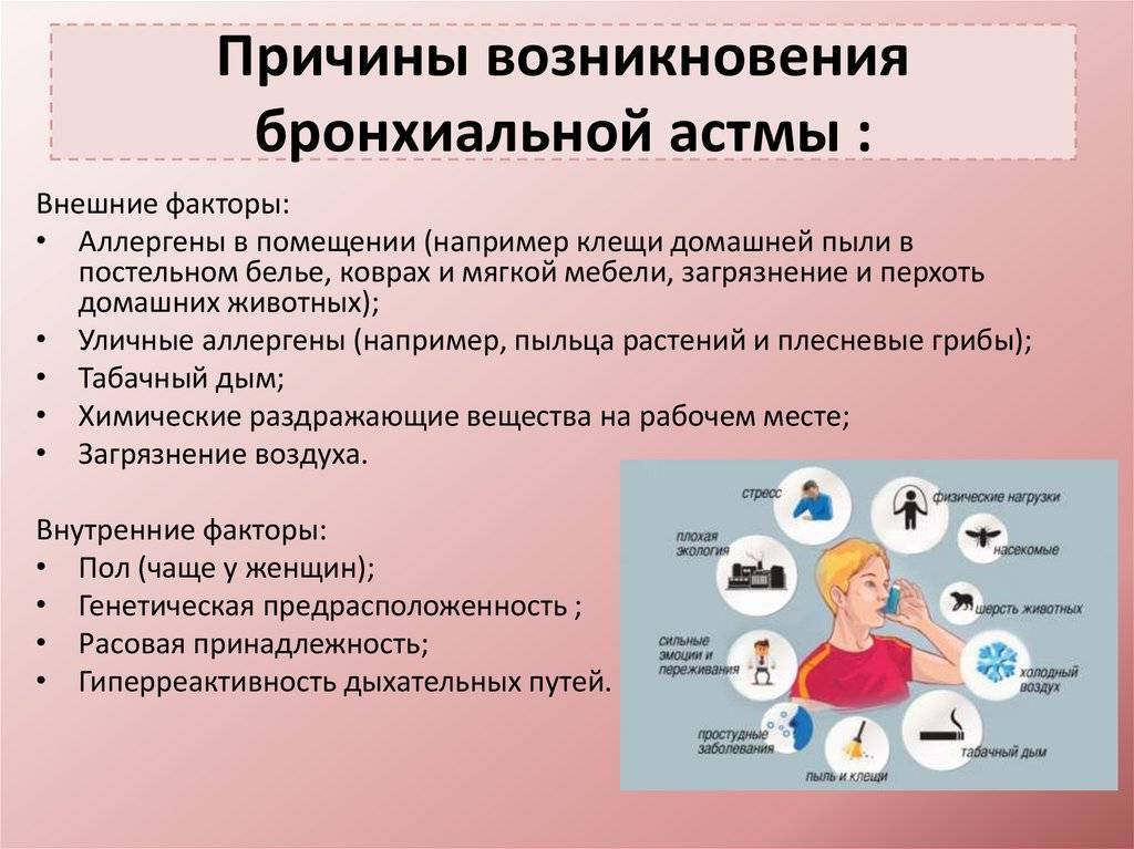Бронхиальная астма. причины, симптомы, виды, лечение и профилактика астмы