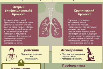Как отличить бронхит от пневмонии