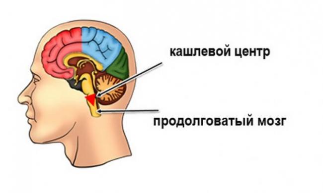 Что такое бутамирата цитрат, от какого кашля помогает, инструкции, аналоги