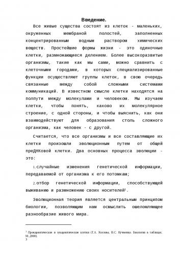 Польза и вред бактерий для человеческого организма
