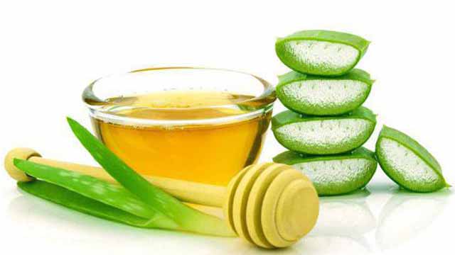 Народные средства от кашля: алоэ с медом