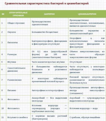 Амебиаз. причины, симптомы, диагностика и лечение патологии :: polismed.com
