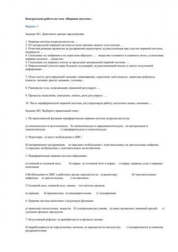 Значение, строение и функционирование нервной системы