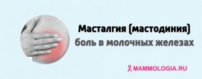 Диета при мастопатии: примерное меню на каждый день