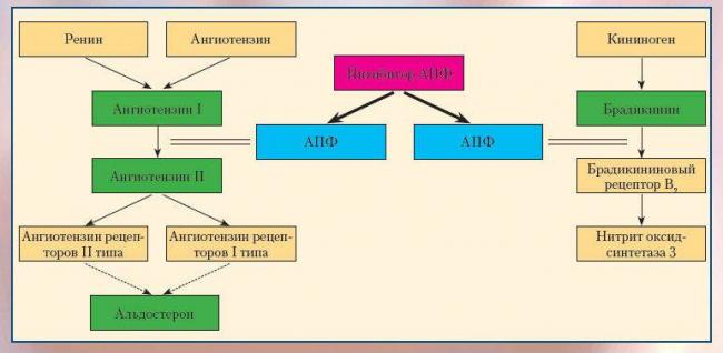 Капотен Capoten инструкция по применению
