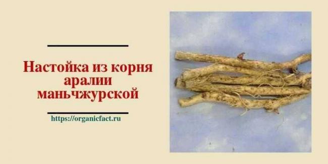 Настойка аралии маньчжурской инструкция по сбору и применению