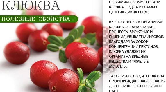 Клюква при простуде ребенку