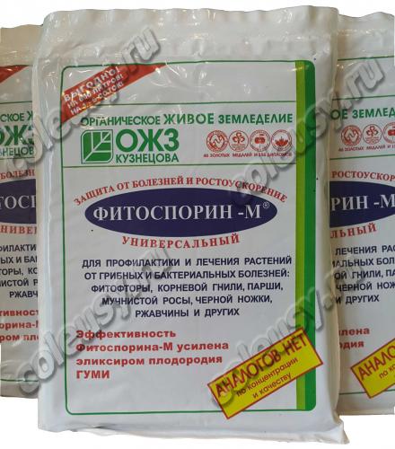 Когда обрабатывать растения фитоспорином — инструкция по применению и отзывы