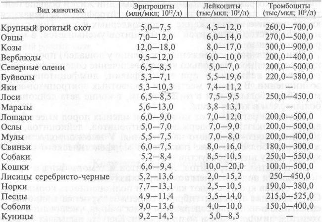 Анализ мочи и крови при туберкулезе легких
