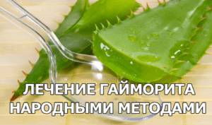 Лечение гайморита народными средствами в домашних условиях: методы