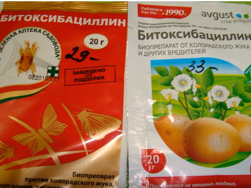 Битоксибациллин для картофеля от колорадского жука