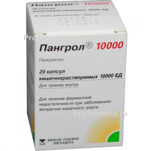 Пангрол 10000: инструкция по применению и для чего он нужен, цена, отзывы, аналоги