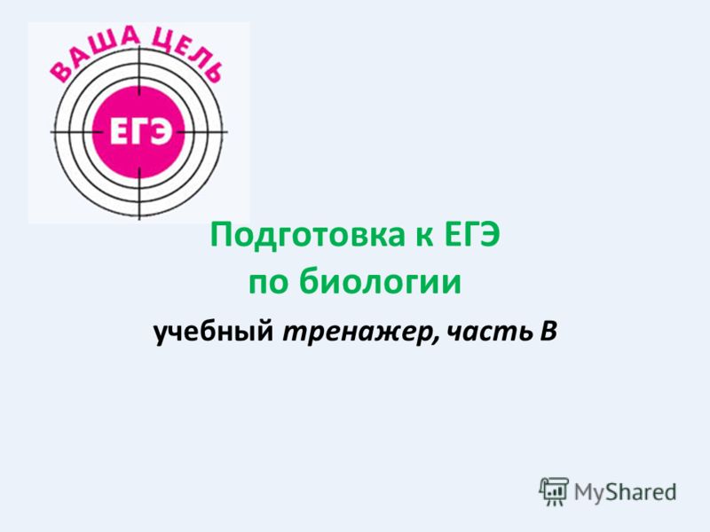 Мутации