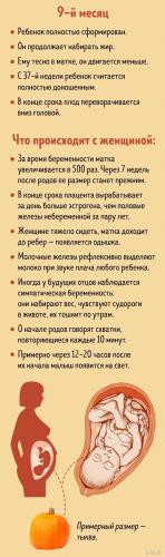 9-й месяц беременности