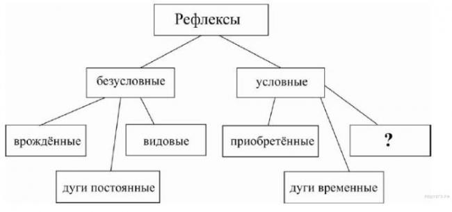 Разница между грибковой и бактериальной инфекцией