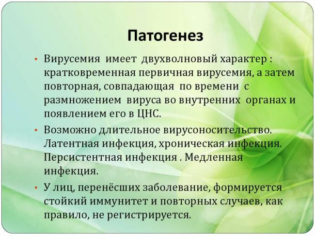 Парвовирусная инфекция: заражение, формы, симптомы, лечение